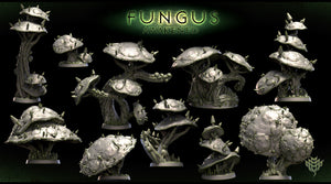 Shroom Clutter - 28mm or 32mm Miniatures - Fungus Awakened