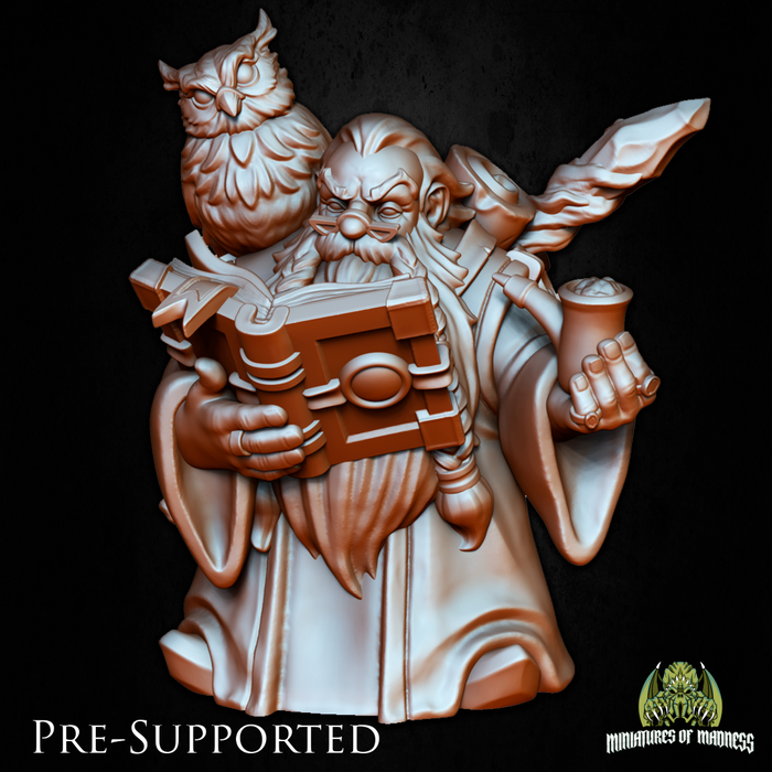 Razak Onyxtoe Dwarven Owl Mage Wizard - 28mm or 32mm Miniatures of Madness Mini Villagers