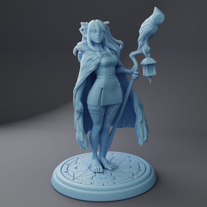 Yaen the Elven Sorceress Sexy Female - 28mm 32mm 54mm or 75mm Miniatures Twin Goddess Full Party