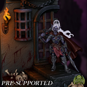 A female elf warrior stands in a dark, foreboding setting, holding a sword and surrounded by skulls and a chained cage.