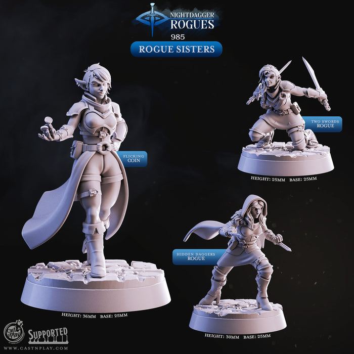 Rogue Sisters Sexy Females 28mm or 32mm Miniatures Nightdagger