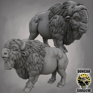 two detailed 3D models of buffalo, one standing and one sitting, against a gray background.