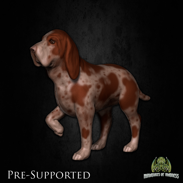 Rusty the Hound Dog - 28mm or 32mm Miniatures of Madness Mini Villagers