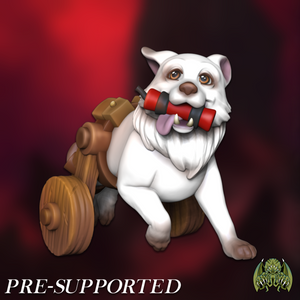 A white dog with a red toy in its mouth is depicted against a red background.