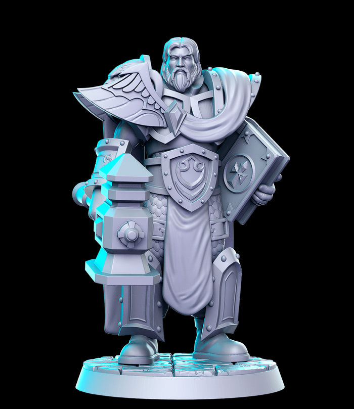 Utter Paladin Knigh - 28mm or 32mm Miniatures RN Estudio Mini Blizzard Vol 6