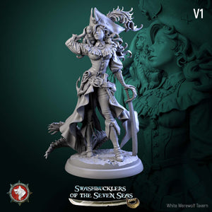 A detailed 3D model of a pirate character from the video game "Swashbucklers of the Seven Seas", featuring a woman with long hair, a pirate hat, and a sword.