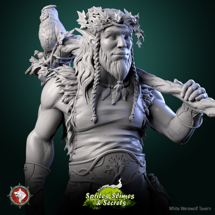 Helreginn Thornward  Druid 28mm 32mm 75mm D&D Resin Miniature Dungeons and Dragons Pathfinder Roleplaying White Werewolf Tavern Sprites