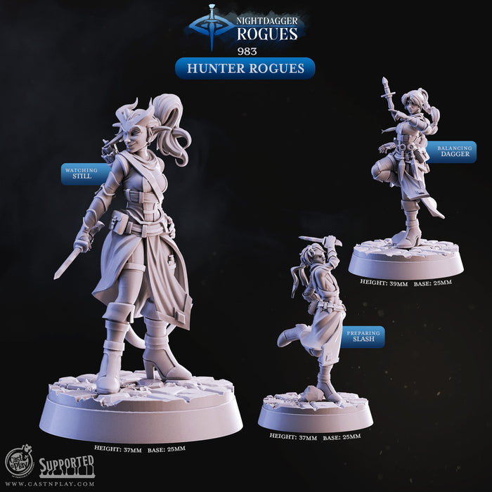 Hunter Rogues Female Assassin 28mm or 32mm Miniatures Nightdaggers
