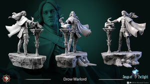 Drow Warlord - 28mm, 32mm, or 75mm Miniatures