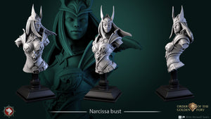 Assassin Narcissa Bust Order of Golden Fury