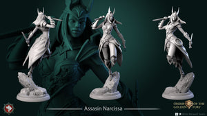 Assassin Narcissa - 28mm, 32mm, or 75mm Miniatures