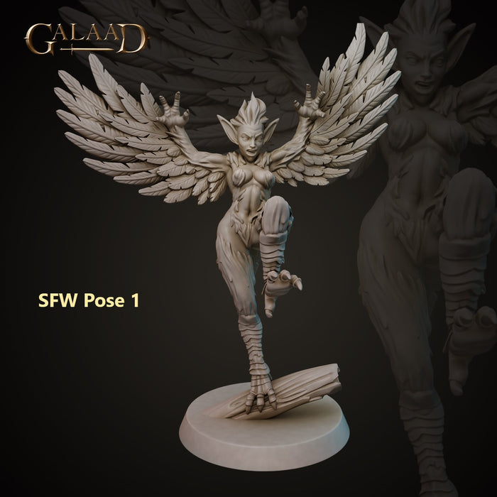 Harpy SFW and NSFW 28mm or 32mm Miniatures Driders, Harpys, and Golems