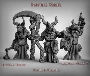 Beastmen Shaman 28mm or 32mm Miniatures