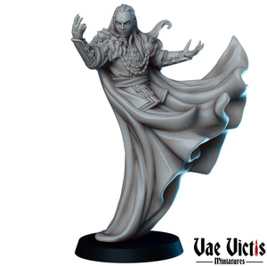 Vampire Lord Strahd Dracula 28mm or 32mm Halloween Miniatures