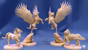 Various Hippogriff Miniatures