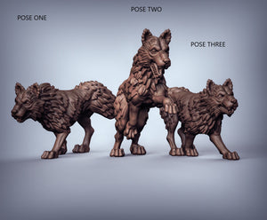 Wolf - Wolf Pack - Dire Wolf Miniatures