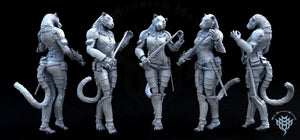 Male or Female Tabaxi Fighters 28mm Miniatures