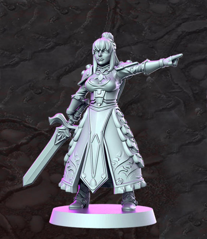 Sexy Female Fighter Paladin Fate 28mm or 32mm Miniatures