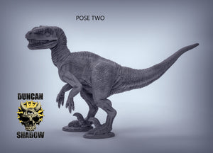 Velociraptor 28mm or 32mm Miniature