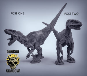 Velociraptor 28mm or 32mm Miniature