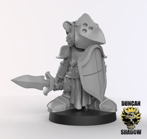 Raccoon Folk Paladin 28mm or 32mm Miniatures