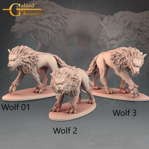 Wild Wolves - 28mm or 32mm Miniatures