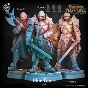 Blue Cape Knights D&D Resin - 28mm or 32mm Miniatures