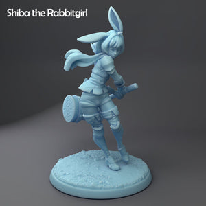 Shiba Dogegirl, Catgirl, or Rabbitgirl D&D Resin 28mm or 32mm Miniatures