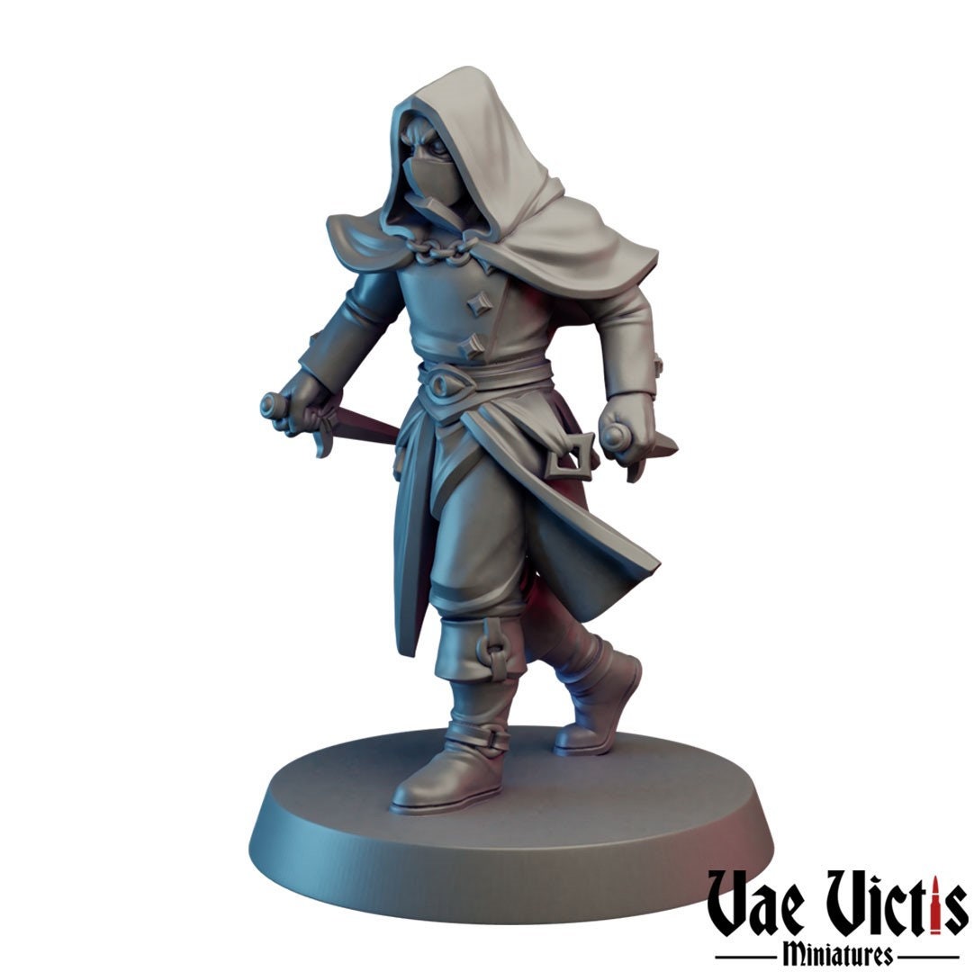 Assassin Miniatures Pathfinder Assassin
