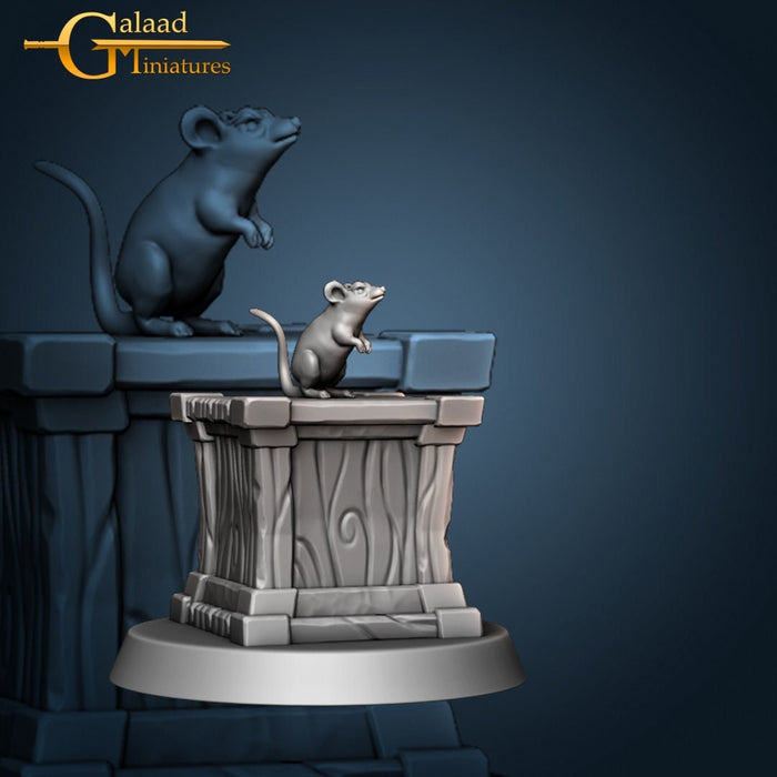 Gypsum the Rat on Crate - 28mm or 32mm Miniatures