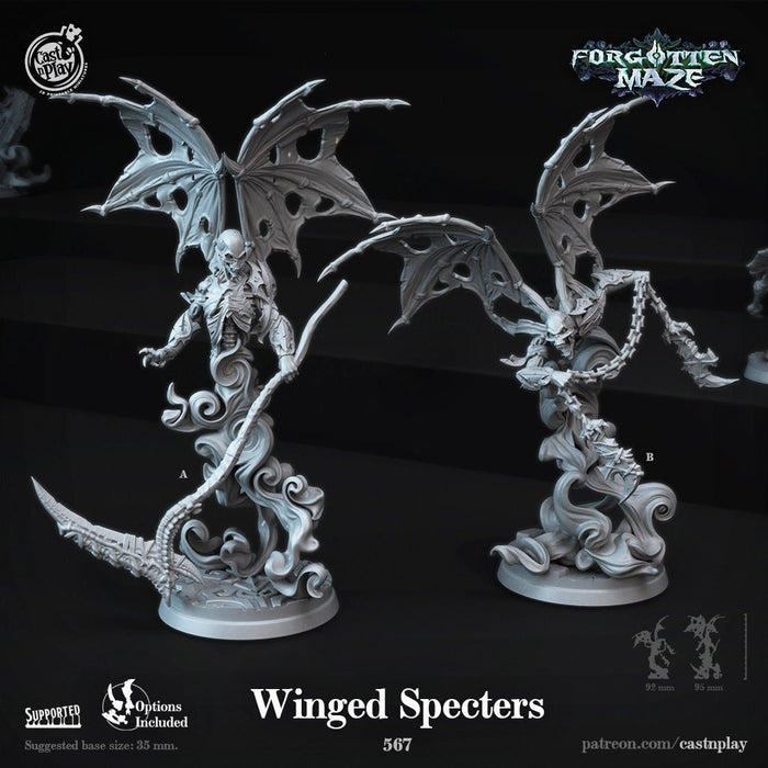 Winged Specter Flying  Undead